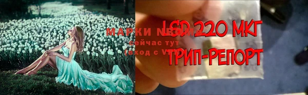 крисы Кулебаки