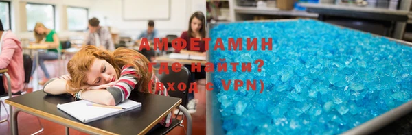 крисы Кулебаки