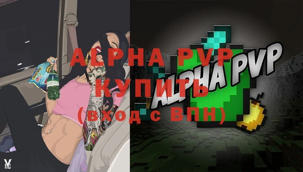 крисы Кулебаки