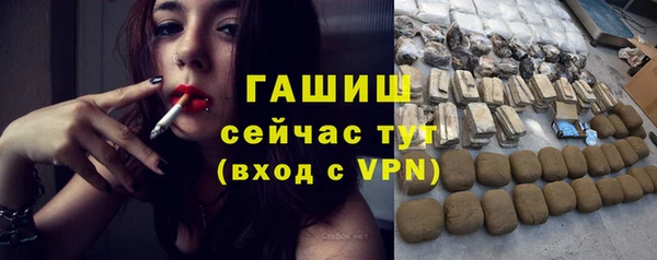 крисы Кулебаки