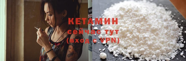 крисы Кулебаки
