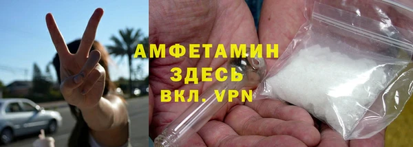 крисы Кулебаки
