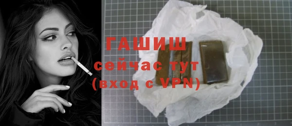 крисы Кулебаки
