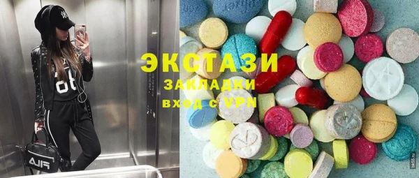 крисы Кулебаки