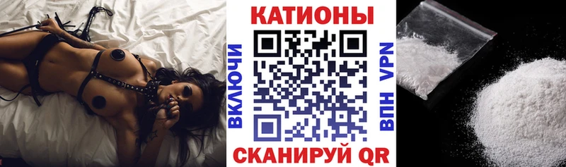 Купить где  Павловская  МЕФ мяу мяу 