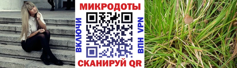 Купить  Павловская  Галлюциногенные грибы ЛСД 